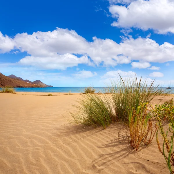 Almeria Playa Genoveses strand Cabo de Gata — Stockfoto