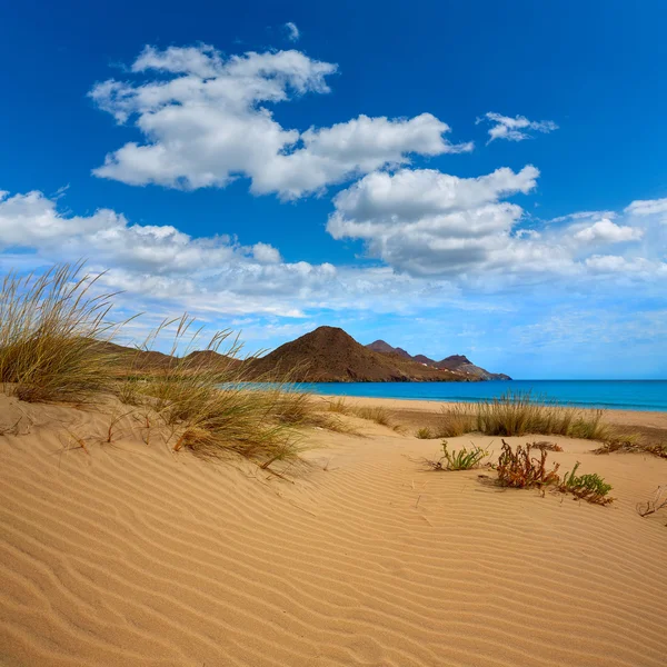 Almeria Playa Genoveses stranden Cabo de Gata — Stockfoto