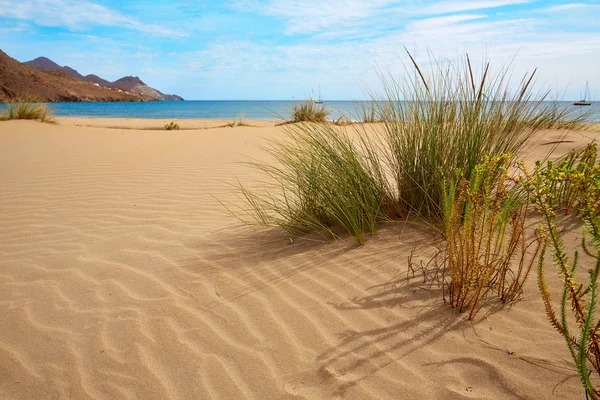 Almeria Playa Genoveses pláže Cabo de Gata — Stock fotografie