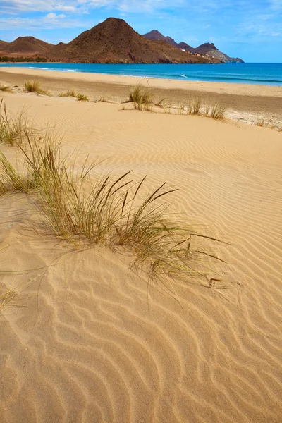 阿尔梅里亚普拉亚 Genoveses 海滩 Cabo de Gata — 图库照片