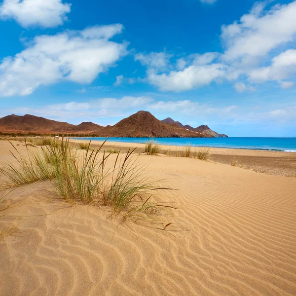 Almeria Playa Genoveses beach Cabo de Gata — Stock Photo, Image