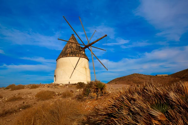 Almeria Molino de los Genoveses větrný mlýn Španělsko — Stock fotografie