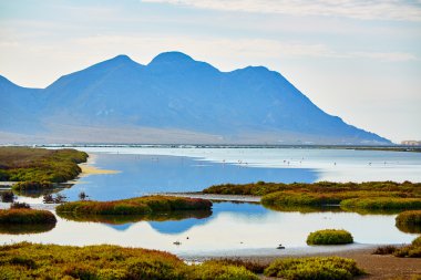 Cabo de Gata Almeria Las Salinas