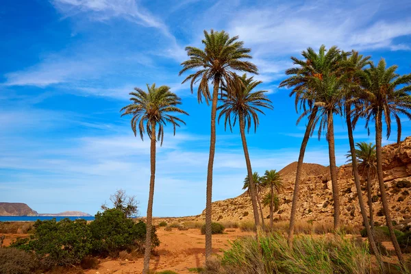 Almeria Cabo de Gata Playazo Rodalquilar plage — Photo