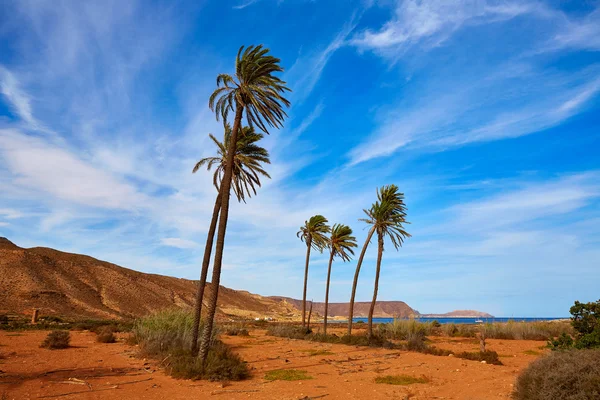 Almeria Cabo de Gata Playazo Rodalquilar strand — Stockfoto