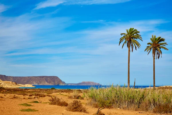 Almería Cabo de Gata Playazo Rodalquilar playa —  Fotos de Stock