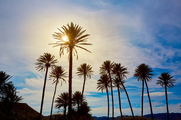 Almeria in Cabo Palmiers à Rodalquilar Espagne — Photo