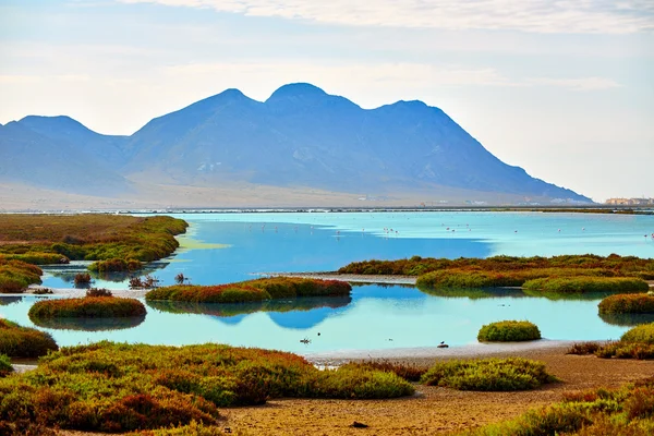 Las Salinas in Cabo de Gata Almeria — Stock Photo, Image