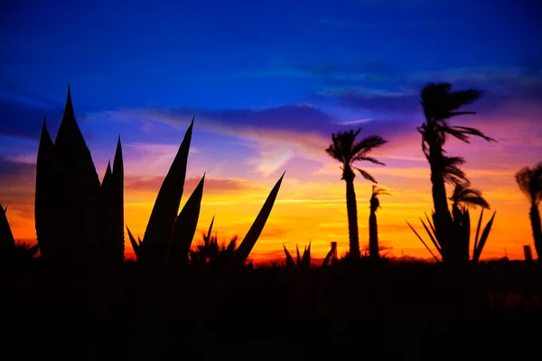 Almeria Cabo de Gata coucher de soleil sur la plage de Retamar — Photo