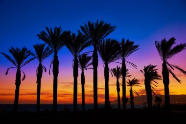 Almeria Cabo de Gata günbatımı Retamar Beach