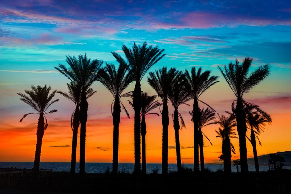 Almeria Cabo de Gata sunset pam trees Retamar — Stock Photo, Image