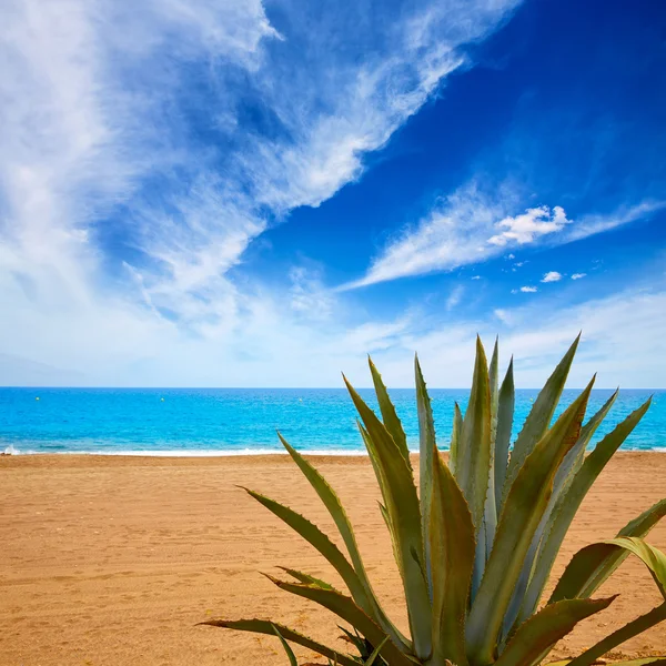 Pláži Almeria Mojacar Španělsko Středozemní moře — Stock fotografie