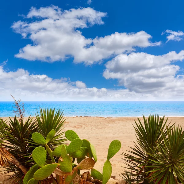 Almeria mojacar Strand Mittelmeer Spanien — Stockfoto