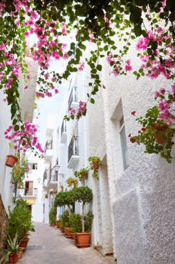 Mojacar Almeria beyaz Akdeniz Köyü İspanya