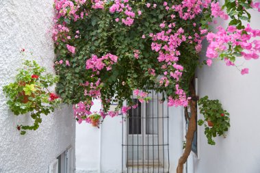 Mojacar Almeria beyaz Akdeniz Köyü İspanya