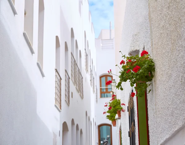 Mojacar Almeria village méditerranéen blanc Espagne — Photo