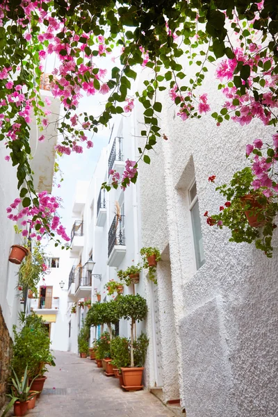 Mojacar Almeria village méditerranéen blanc Espagne — Photo