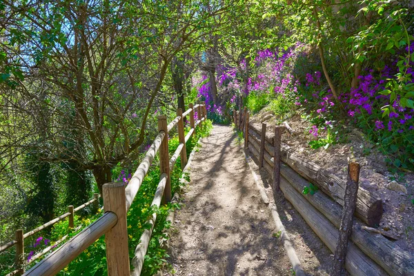 Cuenca foresta primaverile a Canete recinzione in legno — Foto Stock