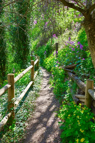 Куэнка весенний лес в Канете деревянный забор — стоковое фото