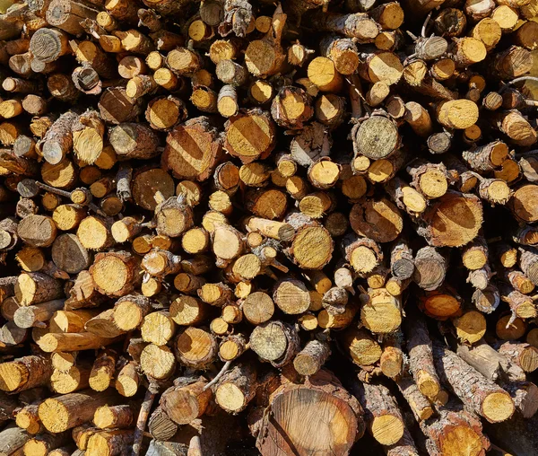 Firewood fogo wook textura padrão — Fotografia de Stock