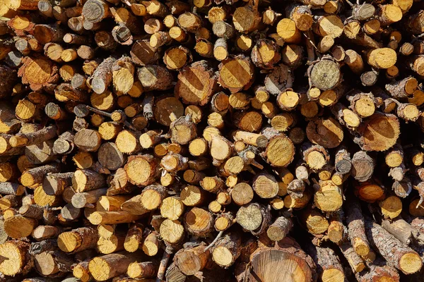 Firewood fire wook pattern texture — Stock Photo, Image