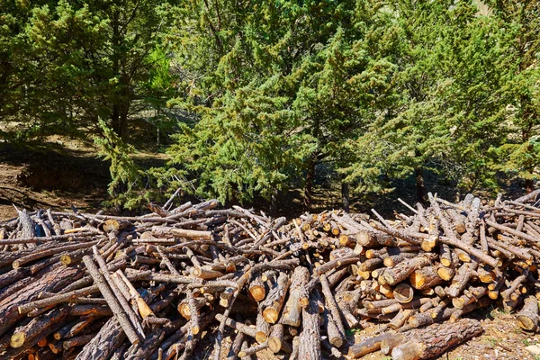 Firewood fire wook pattern texture — Stock Photo, Image