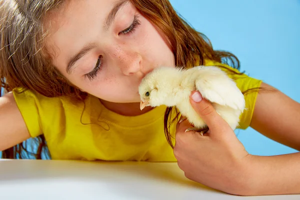 Enfant fille avec des poussins jouant sur bleu — Photo