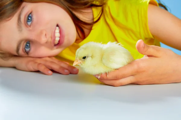 Kid girl with chicks playing on blue — Stock Photo, Image