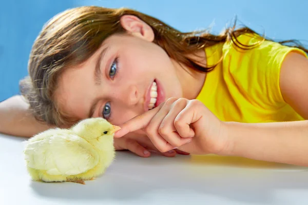 Kid flicka med kycklingar spela på blå — Stockfoto