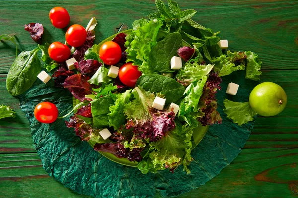Friss zöld saláta, Spenót saláta — Stock Fotó