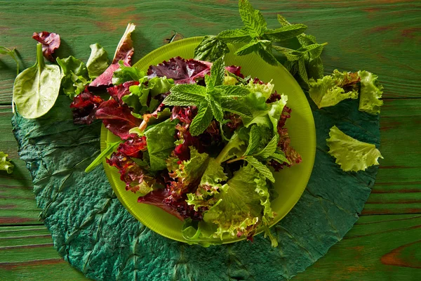 Salada verde fresca com alface espinafre — Fotografia de Stock