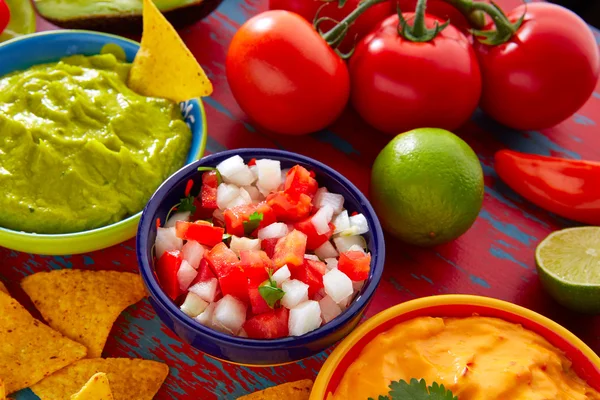 Meksykańskie jedzenie nachos guacamole pico gallo ser — Zdjęcie stockowe