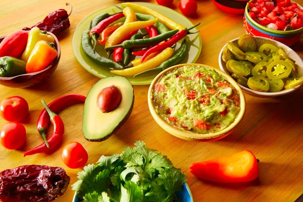 Mexican food mixed guacamole nachos chili sauce — Stock Photo, Image