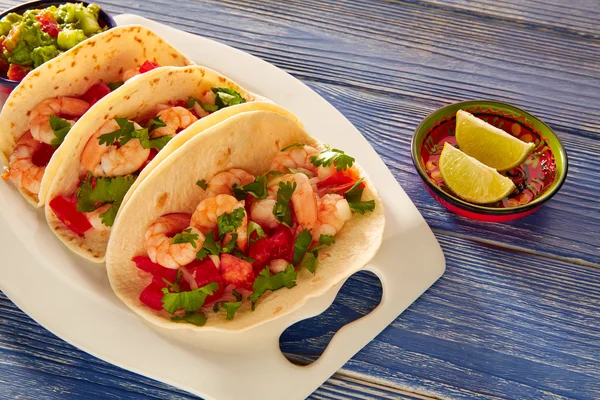 Camaron shrimp tacos mexican food on blue — Stock Photo, Image
