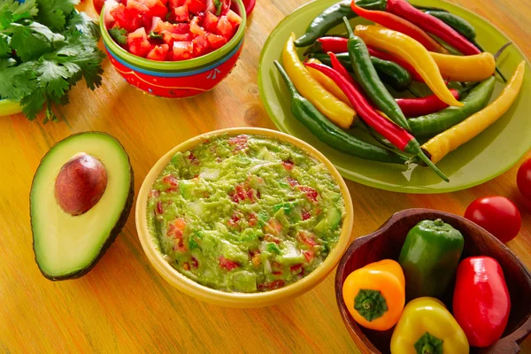 Mexican food mixed guacamole nachos chili sauce — Stock Photo, Image