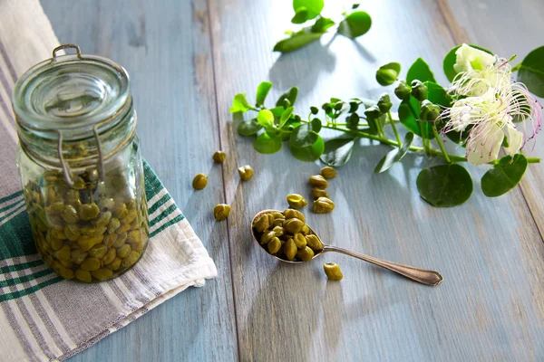 Capers pickled with plant and caper plant flower — Stock Photo, Image