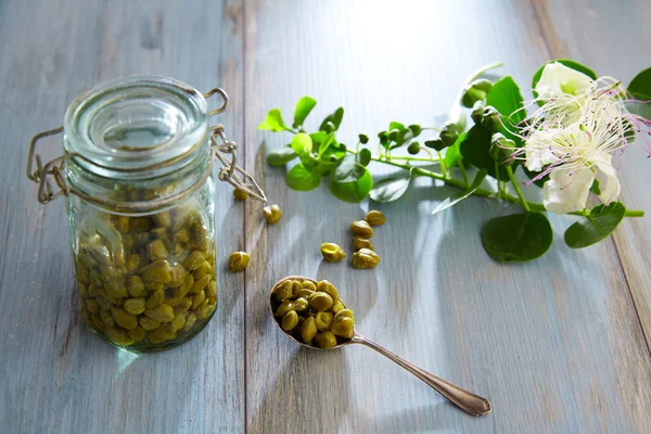 Capers pickled with plant and caper plant flower — Stock Photo, Image