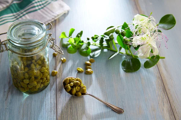 Kapris saltgurka med växt och kapris plantera blomman — Stockfoto