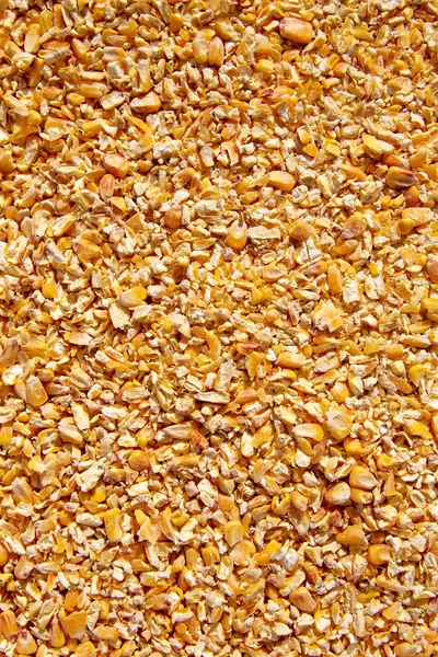 Corn seeds low milled seeds texture background — Stock Photo, Image