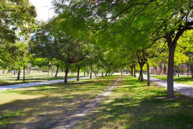 Valencia Turia river park ağaçlar ve parça İspanya