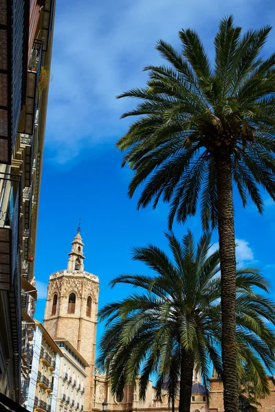 Valencia El Liguelete Micalet in Piazza Reina e Cattedrale — Foto Stock