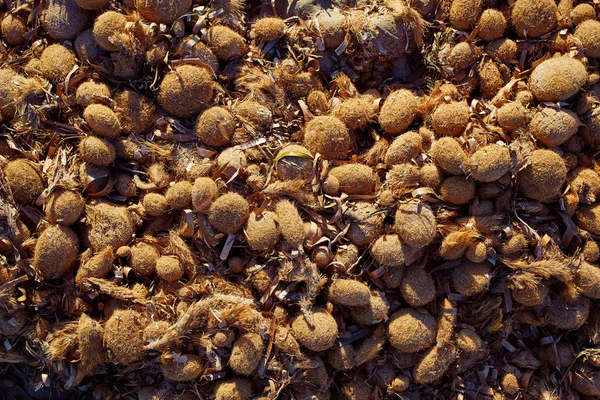 Playa mediterránea Posidonia en alicante Denia en España —  Fotos de Stock