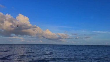 Tropikal sahilde güneşli bir öğleden sonra kümülüs bulutu ve ufukta suyla