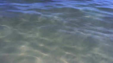 Kumlu taban üzerinde açık ve sığ deniz sularında yüzen küçük balık okulu, dalgalar ve güneş ışığı desenleri, tropikal kıyılar