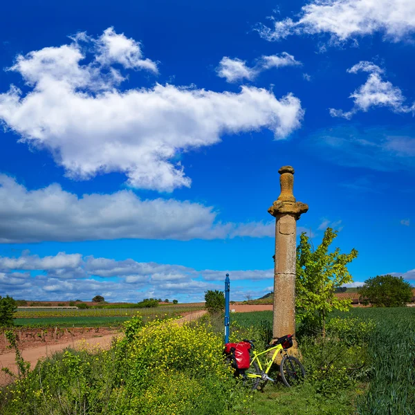 Azofra Saint James Way cross column La Rioja — Stock Photo, Image