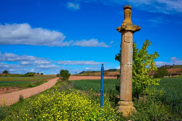 Azofra Saint James Way cruz coluna La Rioja — Fotografia de Stock