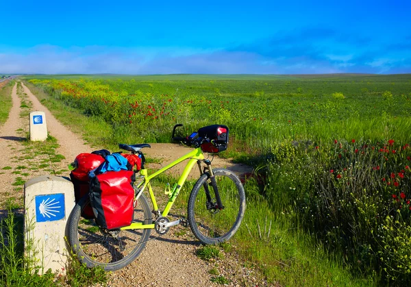 Cammino di San Giacomo segno guscio in bicicletta a Palencia — Foto Stock