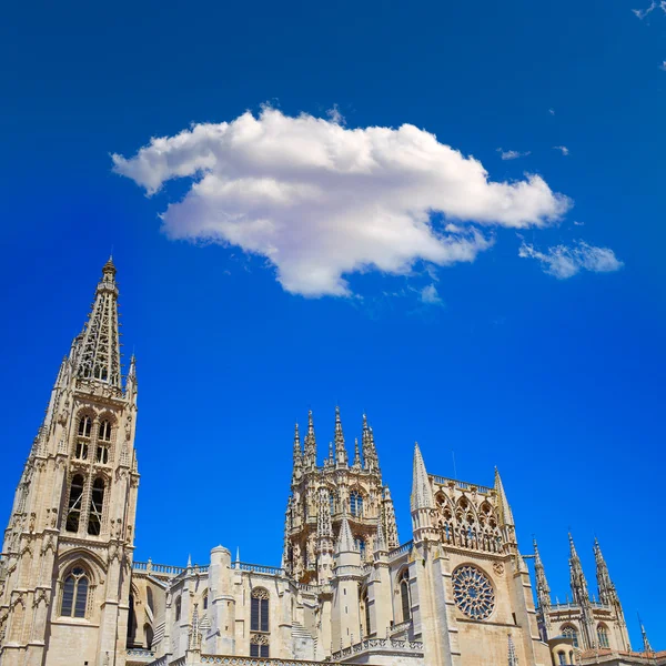 Gevel van de kathedraal van Burgos in Saint James manier — Stockfoto