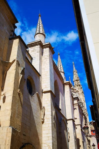 Burgos way to Cathedral on Saint James Way — Stock Photo, Image