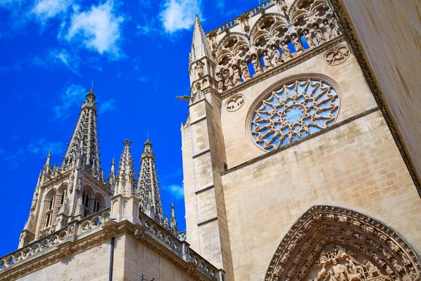 Průčelí katedrály ve městě Burgos způsobem Saint James — Stock fotografie